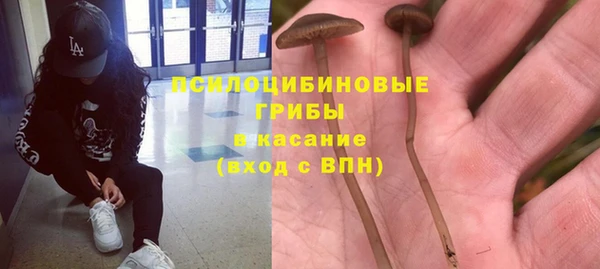 меф Алексин