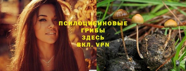 твердый Алзамай