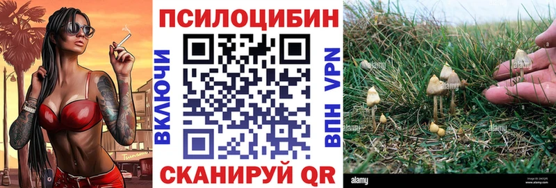 кракен tor  Красноуфимск  Галлюциногенные грибы прущие грибы 